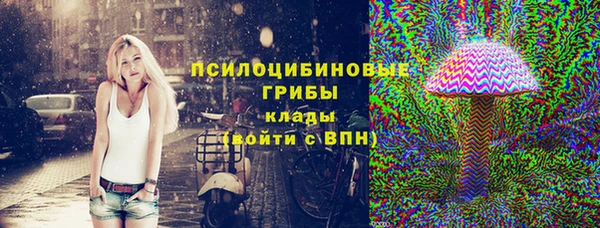 PSILOCYBIN Абинск