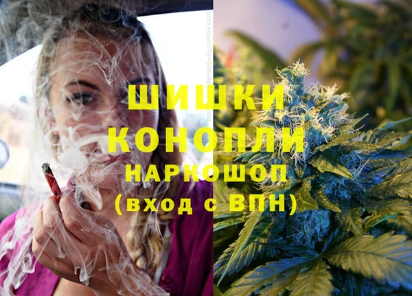PSILOCYBIN Абинск
