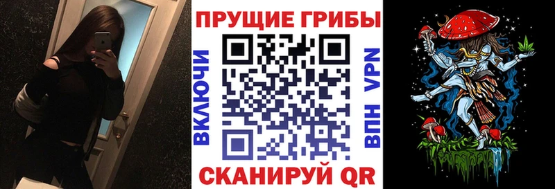 площадка состав  где найти   Искитим  Галлюциногенные грибы Magic Shrooms 